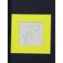 AYRTON SENNA AUTÓGRAFO – PINTURA SENNA