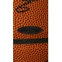 LEBRON JAMES AUTÓGRAFO – BOLA SPALDING
