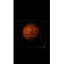 LEBRON JAMES AUTÓGRAFO – BOLA SPALDING NBA
