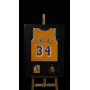 SHAQUILLE O’NEAL AUTÓGRAFO – JERSEY LAKERS 34