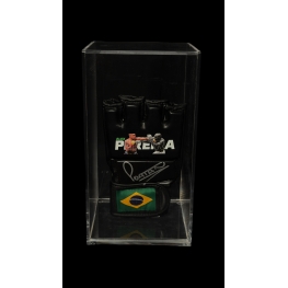 ALEX PEREIRA AUTÓGRAFO – LUVA MMA