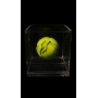 Aryna Sabalenka Autógrafo - Bola de Tênis.
