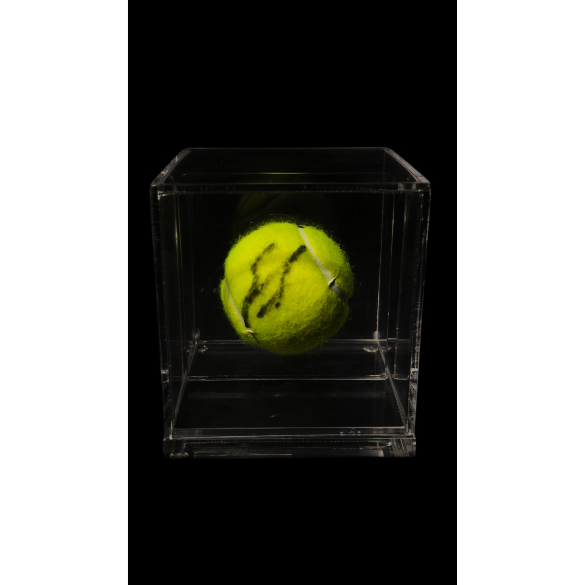 Aryna Sabalenka Autógrafo - Bola de Tênis.