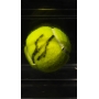 Aryna Sabalenka Autógrafo - Bola de Tênis.