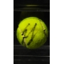 Aryna Sabalenka Autógrafo - Bola de Tênis.