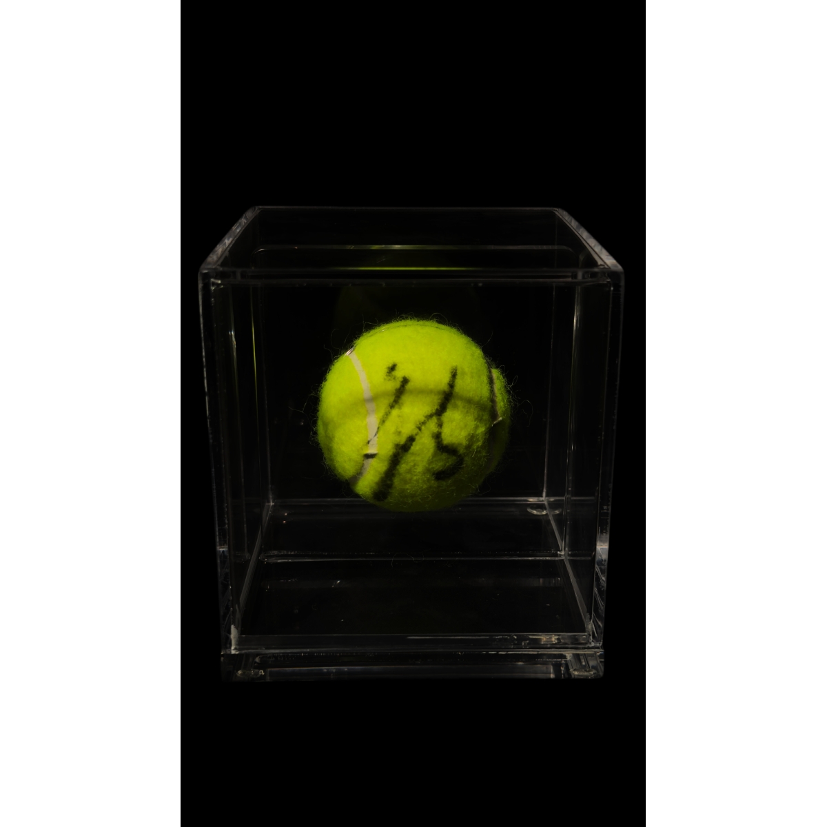 Aryna Sabalenka Autógrafo - Bola de Tênis.