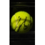 Aryna Sabalenka Autógrafo - Bola de Tênis.