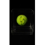 RAFAEL NADAL AUTÓGRAFO – BOLA DE TÊNIS WILSON