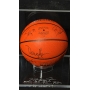 MICHAEL JORDAN E ELENCO CAMPEÃO DA NBA 1990–91 AUTÓGRAFOS – BOLA OFICIAL SPALDING