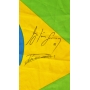 AYRTON SENNA AUTÓGRAFO – BANDEIRA DO BRASIL