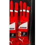 SEBASTIAN VETTEL AUTÓGRAFO – PAR DE LUVAS SCUDERIA FERRARI