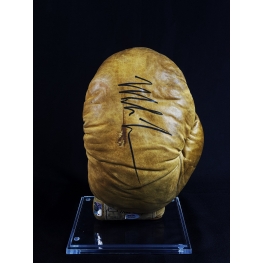 Mike Tyson Autógrafo luva "vintage" da marca MacGregor.
