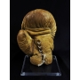 Mike Tyson Autógrafo luva "vintage" da marca MacGregor.
