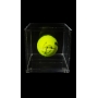 NOVAK DJOKOVIC AUTÓGRAFO - BOLA DE TÊNIS