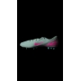 CRISTIANO RONALDO AUTÓGRAFO - CHUTEIRA NIKE MERCURIAL