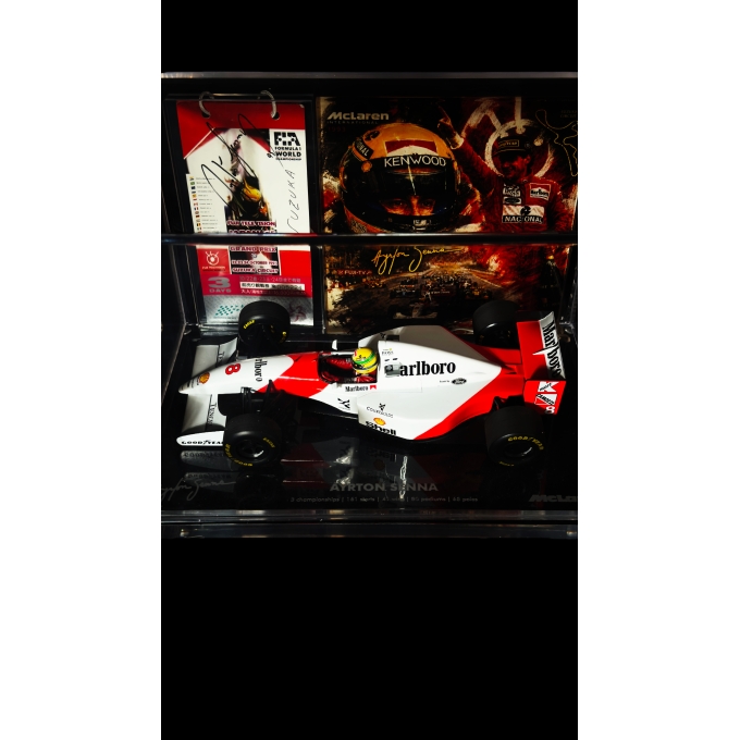 AYRTON SENNA AUTÓGRAFO – INGRESSO GP DO JAPÃO 1993