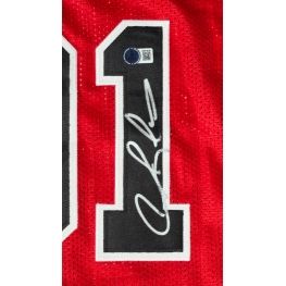 DENNIS RODMAN AUTÓGRAFO - CAMISA CHICAGO BULLS