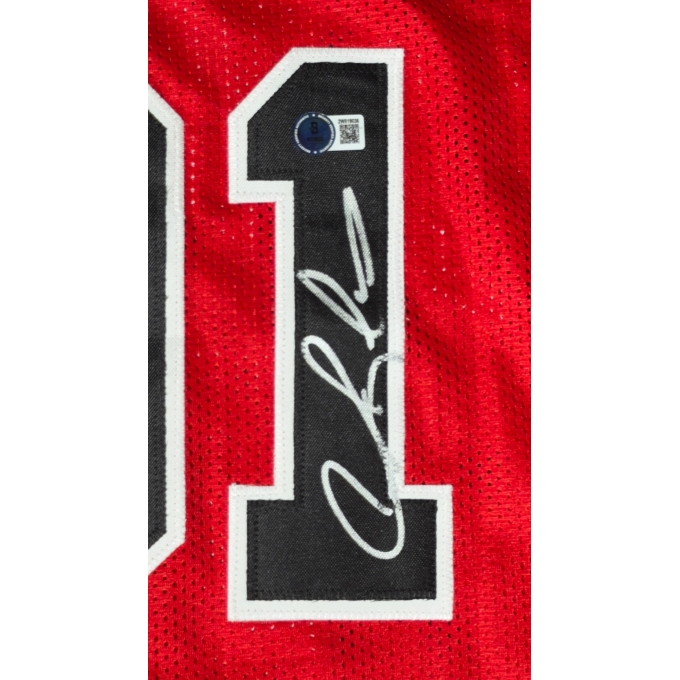 DENNIS RODMAN AUTÓGRAFO - CAMISA CHICAGO BULLS