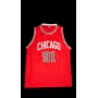 DENNIS RODMAN AUTÓGRAFO - CAMISA CHICAGO BULLS