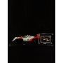 Ayrton Senna Autógrafo em Card.