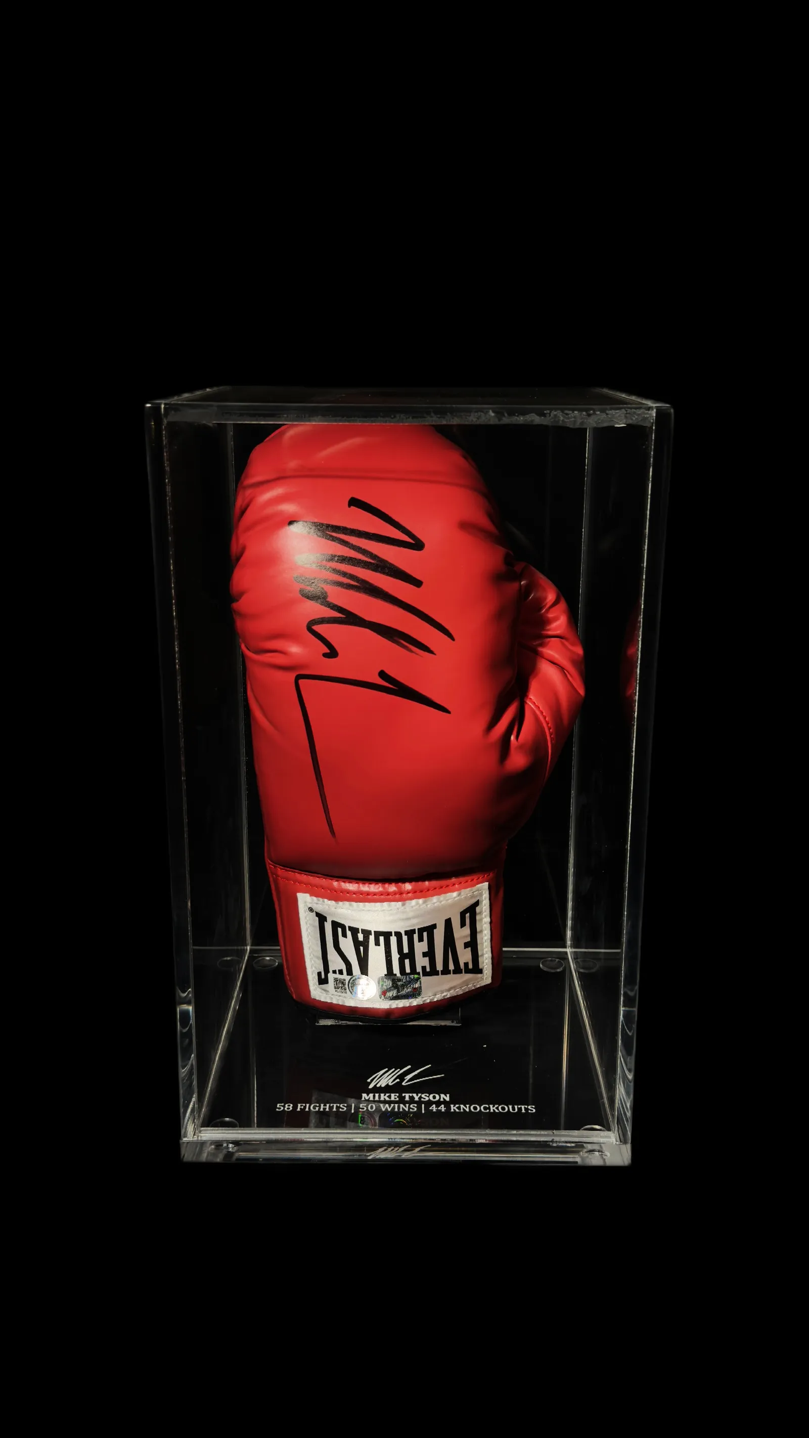 Mike Tyson autógrafo – luva de boxe Everlast, Mike Tyson