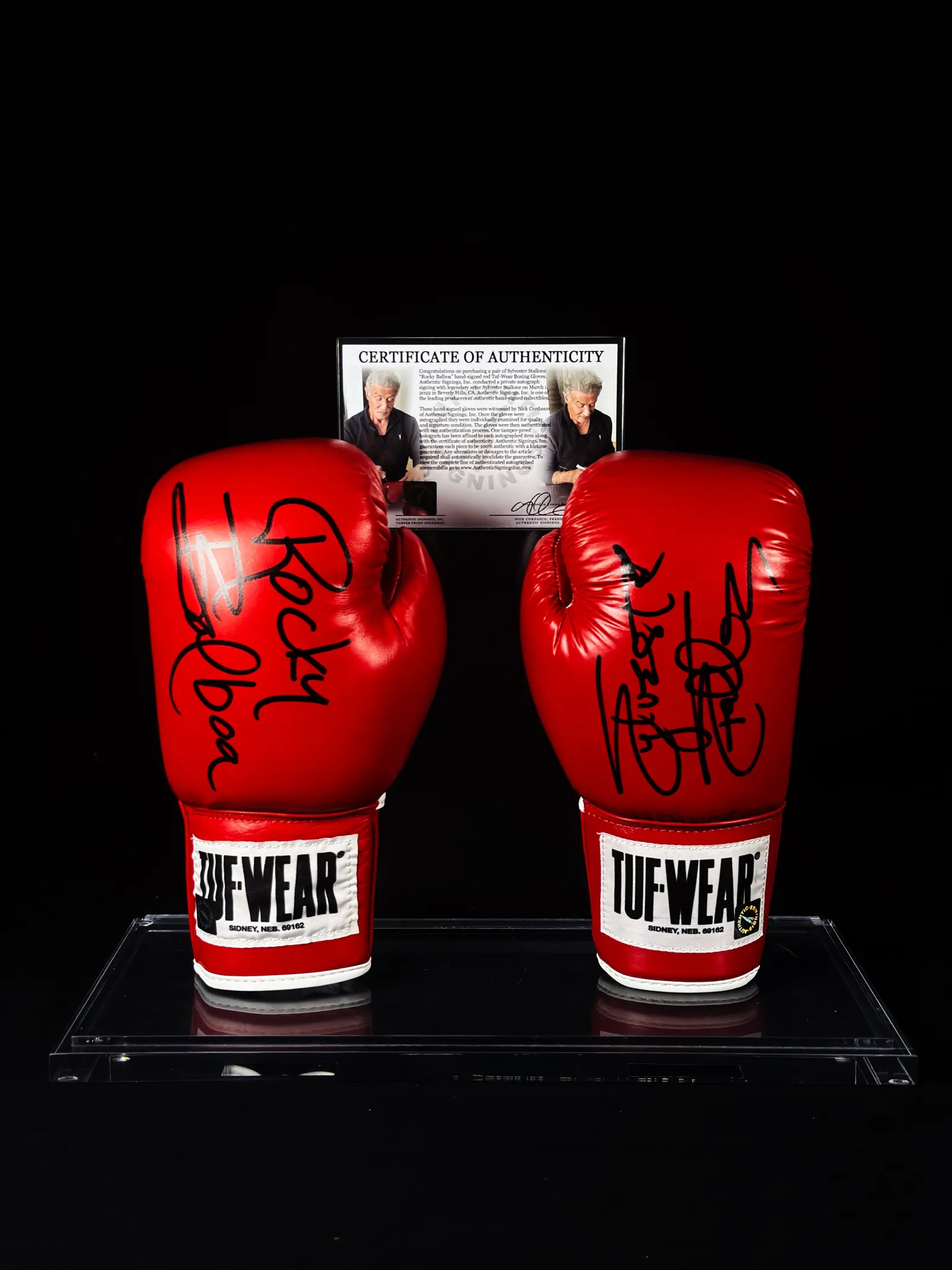 A luva do campeão – Rocky Balboa, Sylvester Stallone, Sylvester Stallone