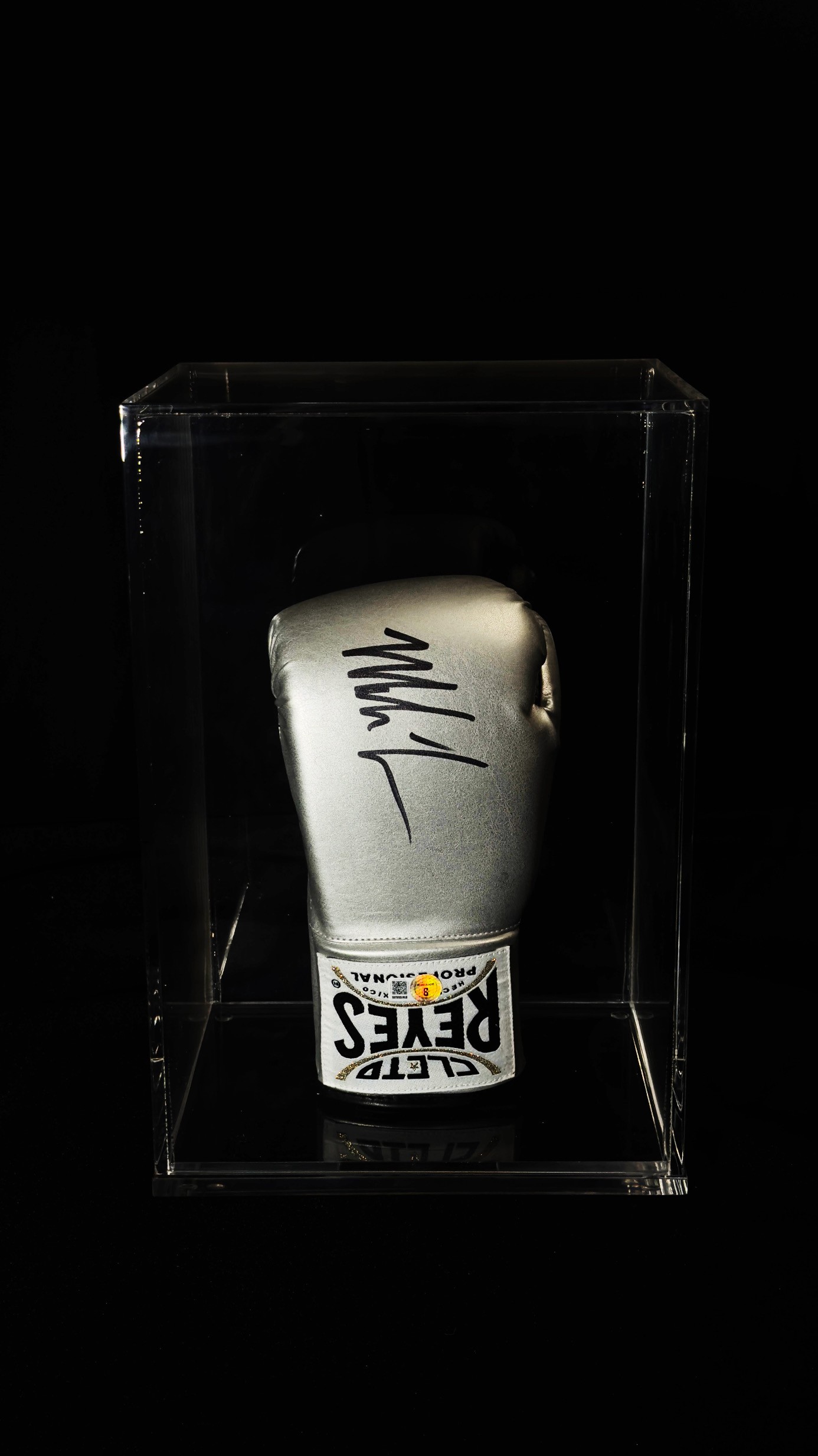 Mike Tyson autógrafo – luva de boxe Cleto Reyes, Mike Tyson