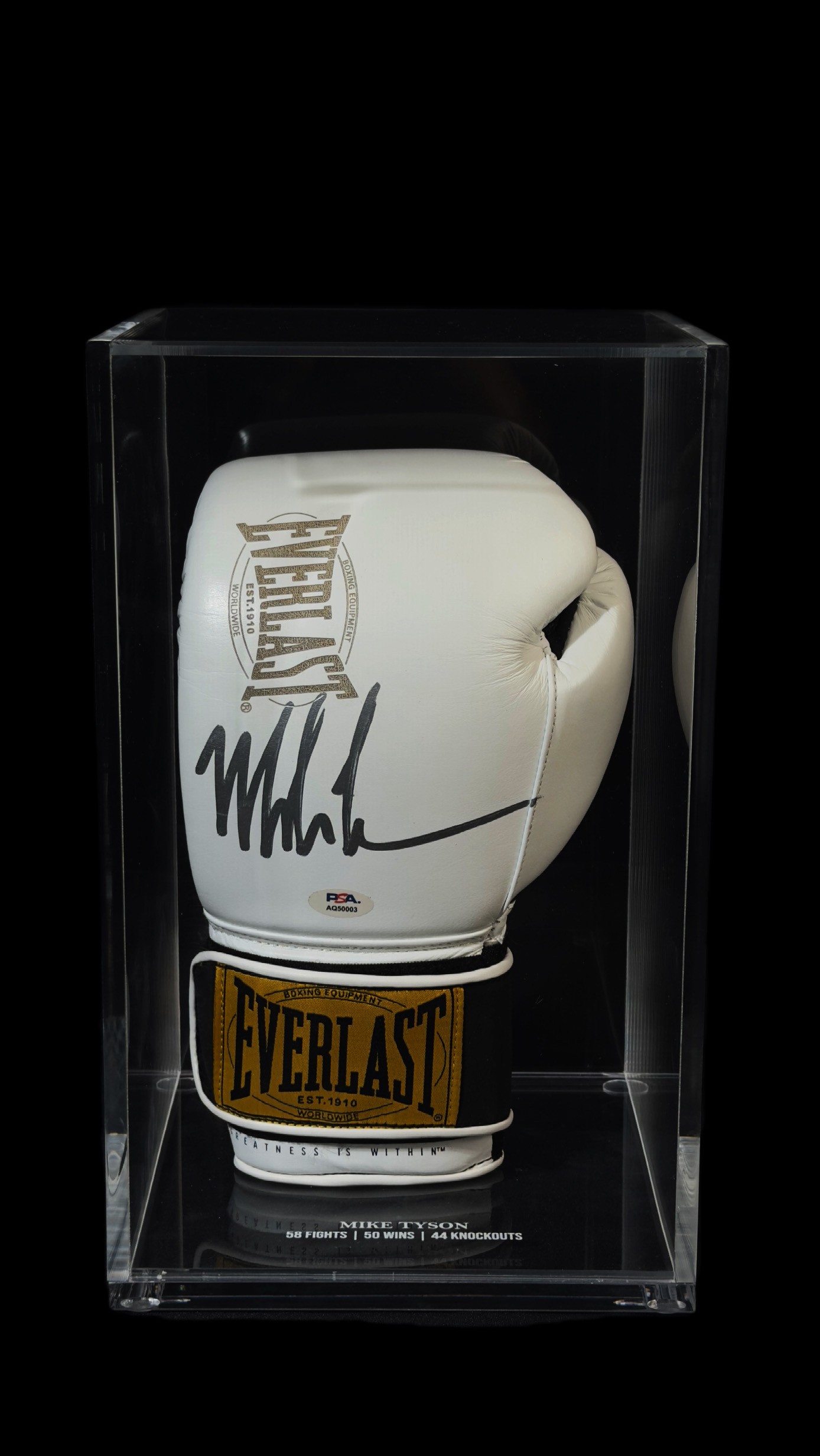 Mike Tyson autógrafo – luva Everlast, Mike Tyson