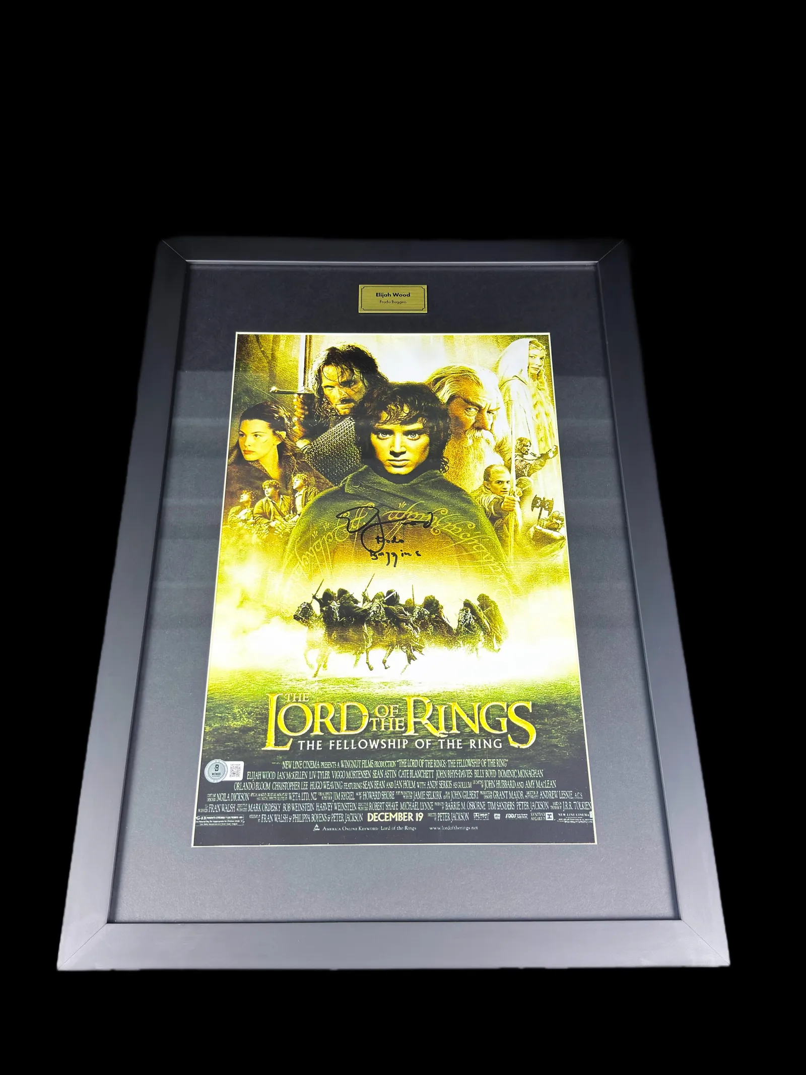Frodo Baggins – o portador do anel, Elijah Wood, Elijah Wood