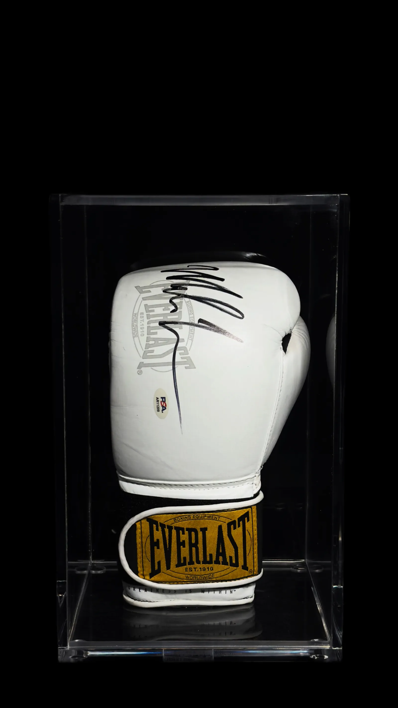 Mike Tyson autógrafo – Luva de boxe Everlast, Mike Tyson