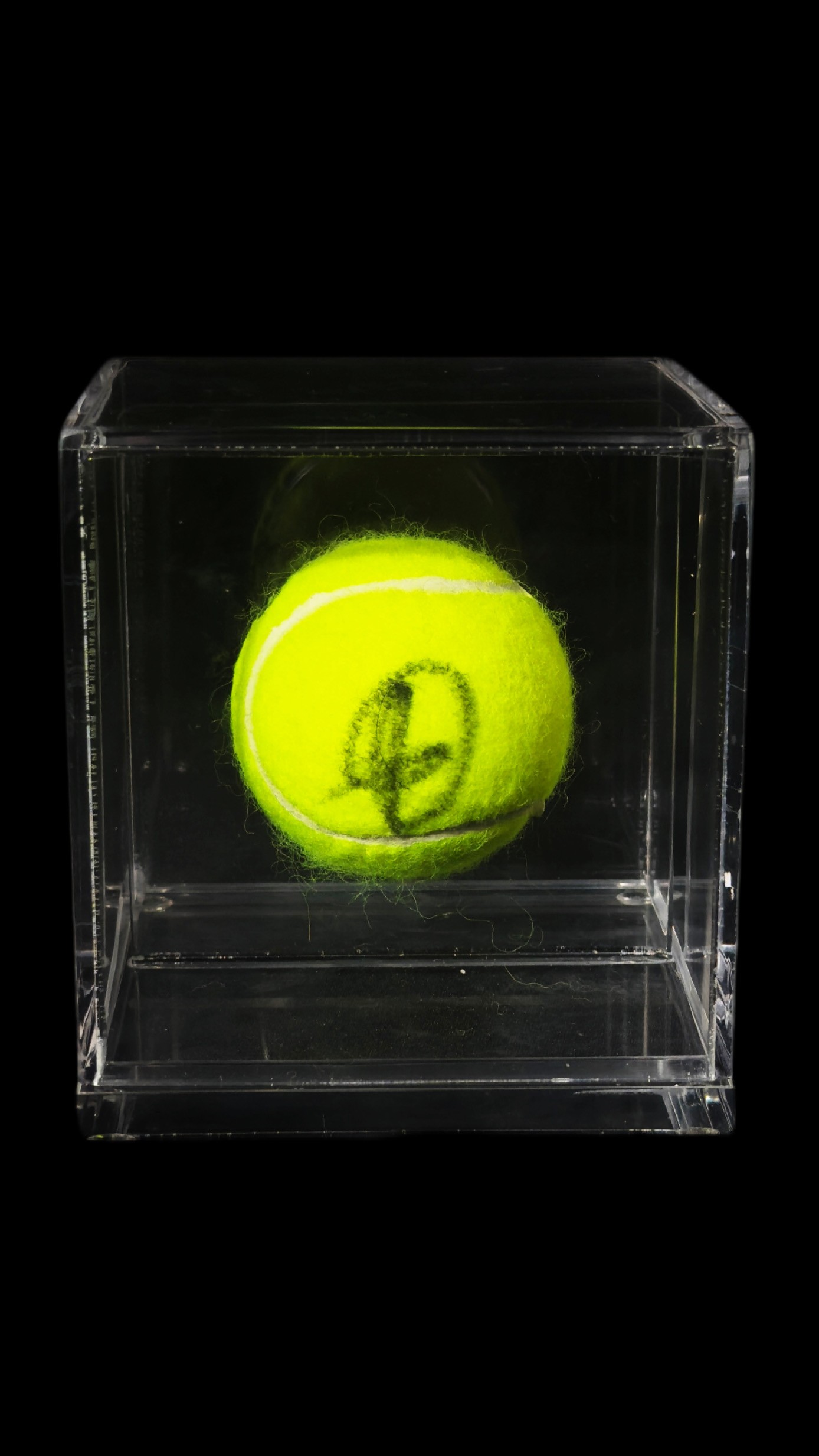 Novak Djokovic autógrafo – bola de tênis, Novak Djokovic