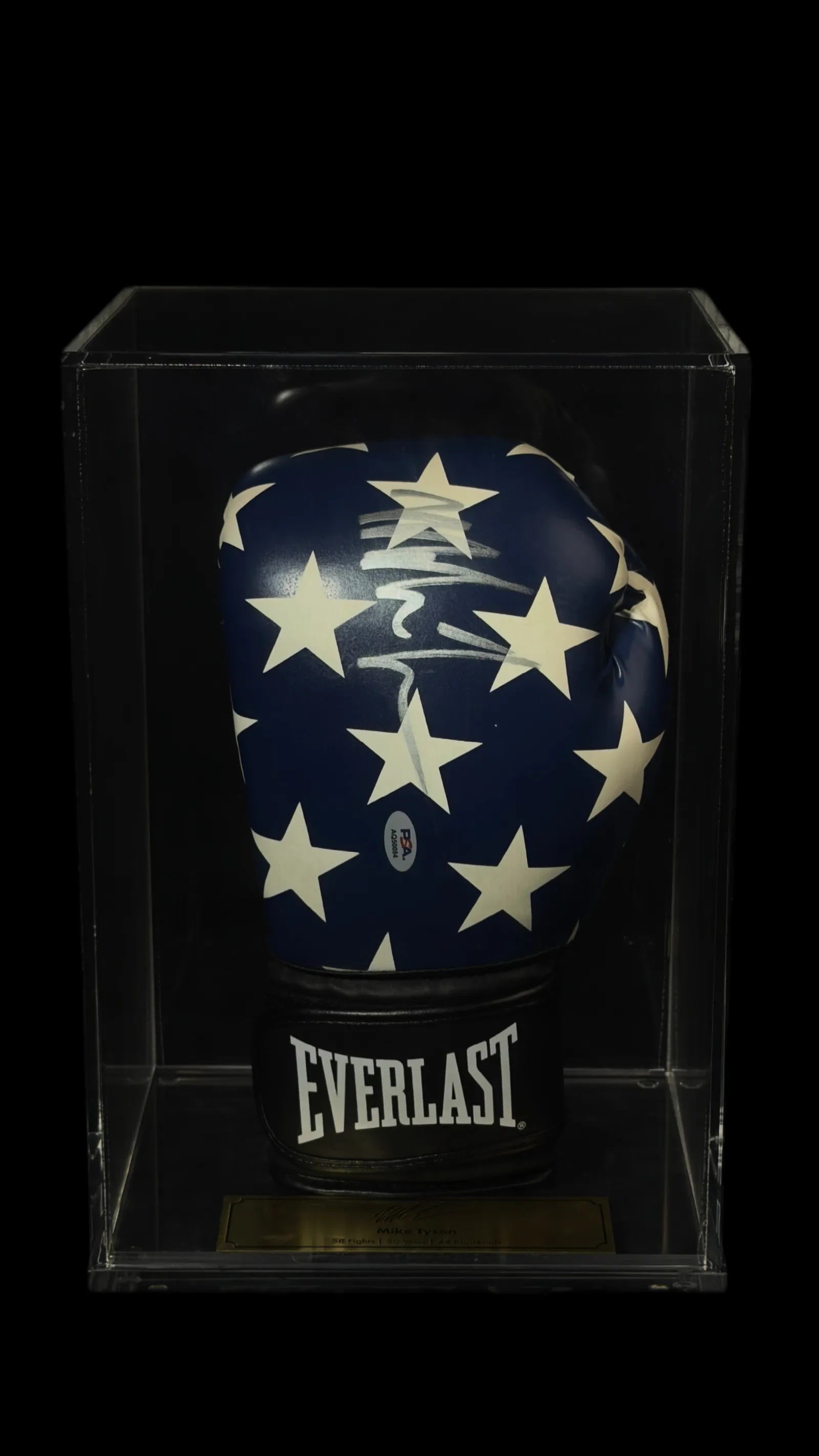 Mike Tyson autógrafo – luva de boxe Everlast, Mike Tyson
