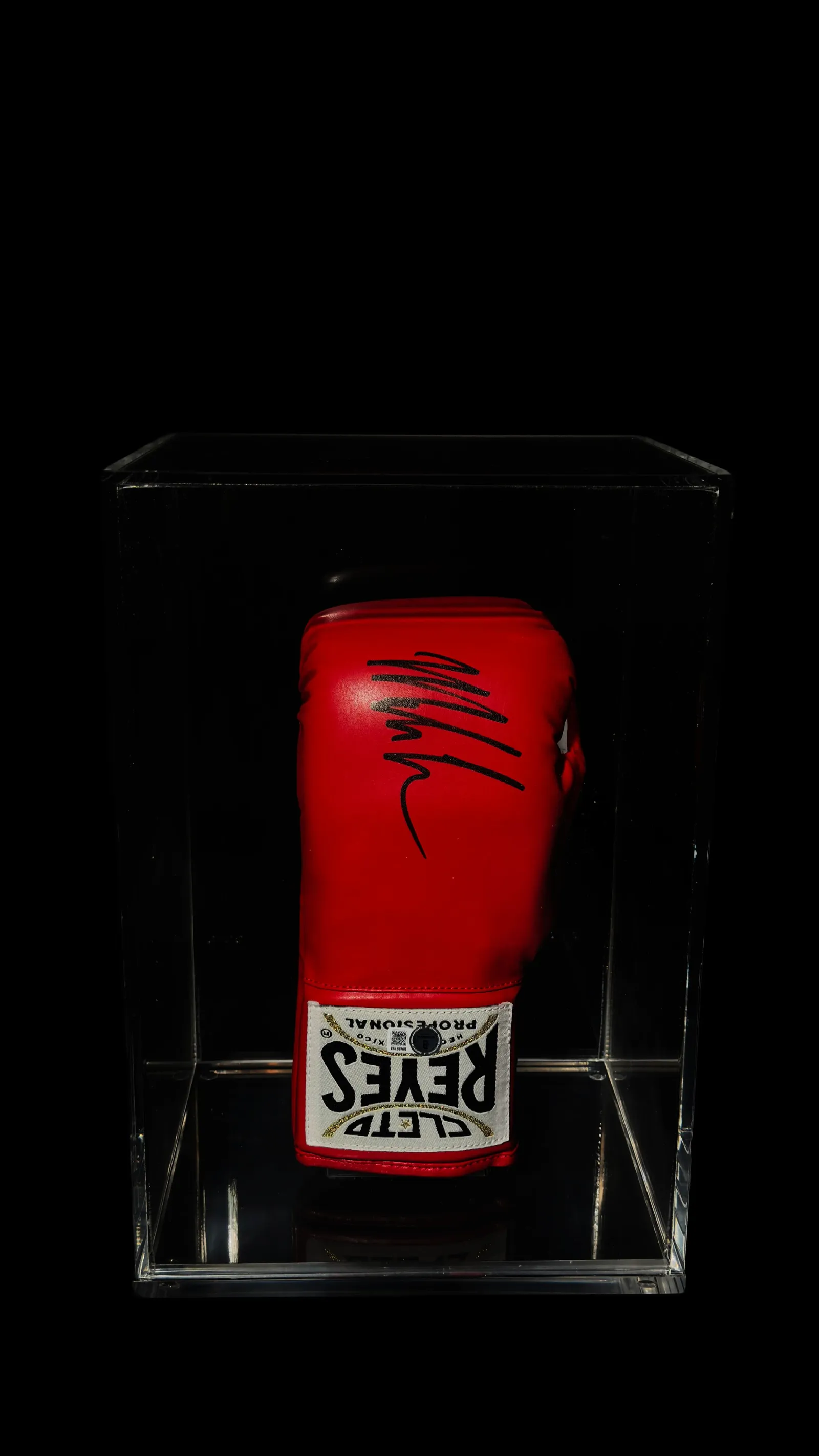 Mike Tyson autógrafo – luva Cleto Reyes, Mike Tyson
