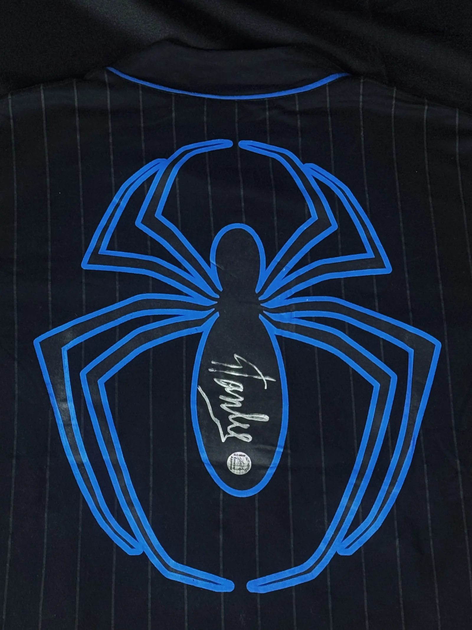Stan Lee autógrafo – camiseta logo Spider Man, Stan Lee