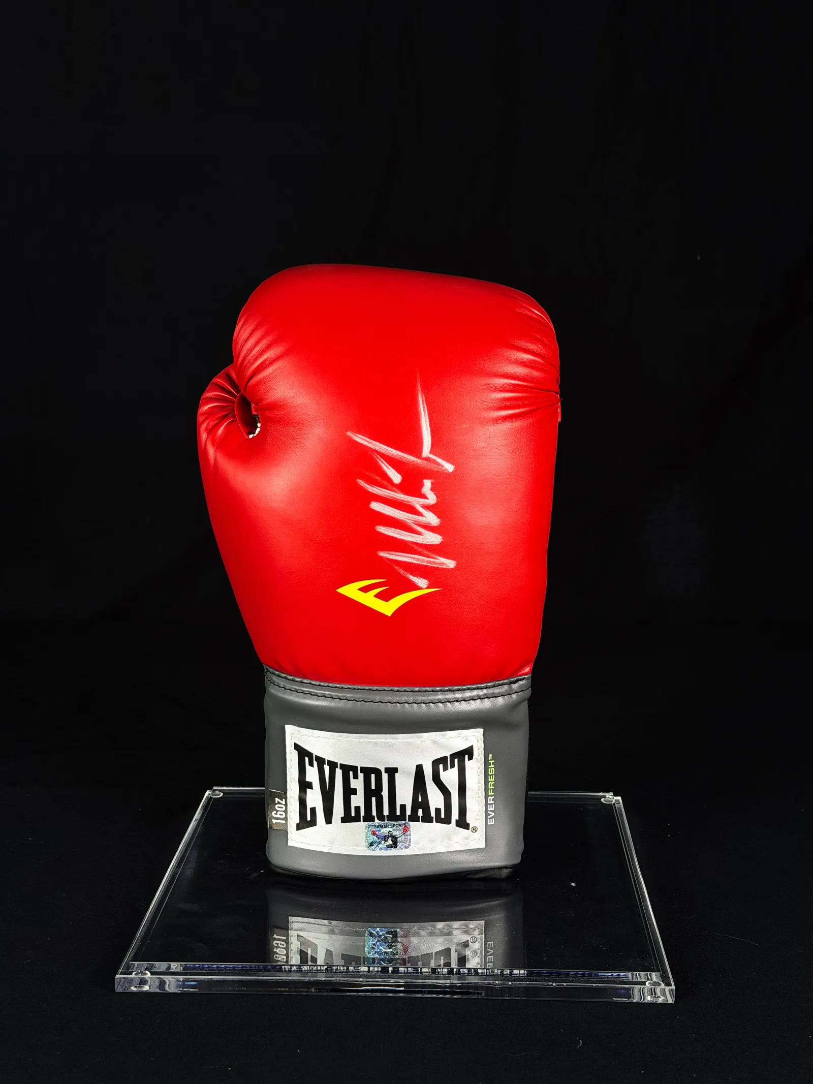Mike Tyson – luva de boxe autografada, Mike Tyson