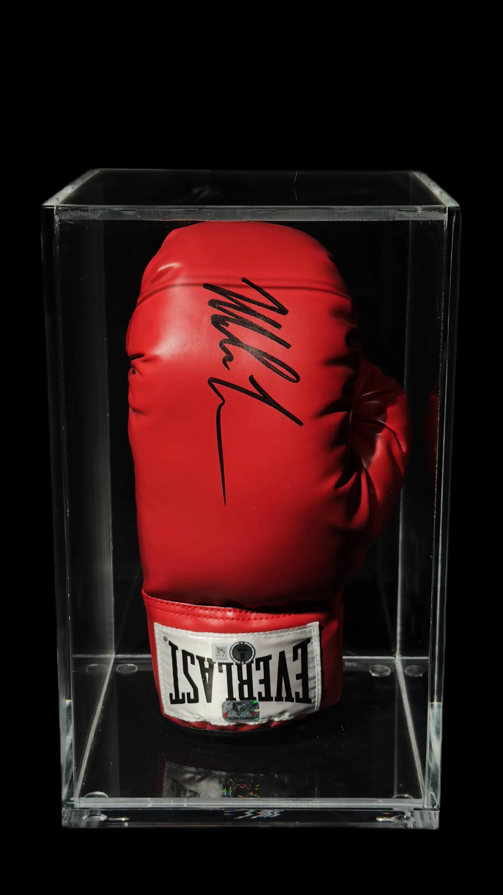 Mike Tyson autógrafo – luva de boxe Everlast, Mike Tyson