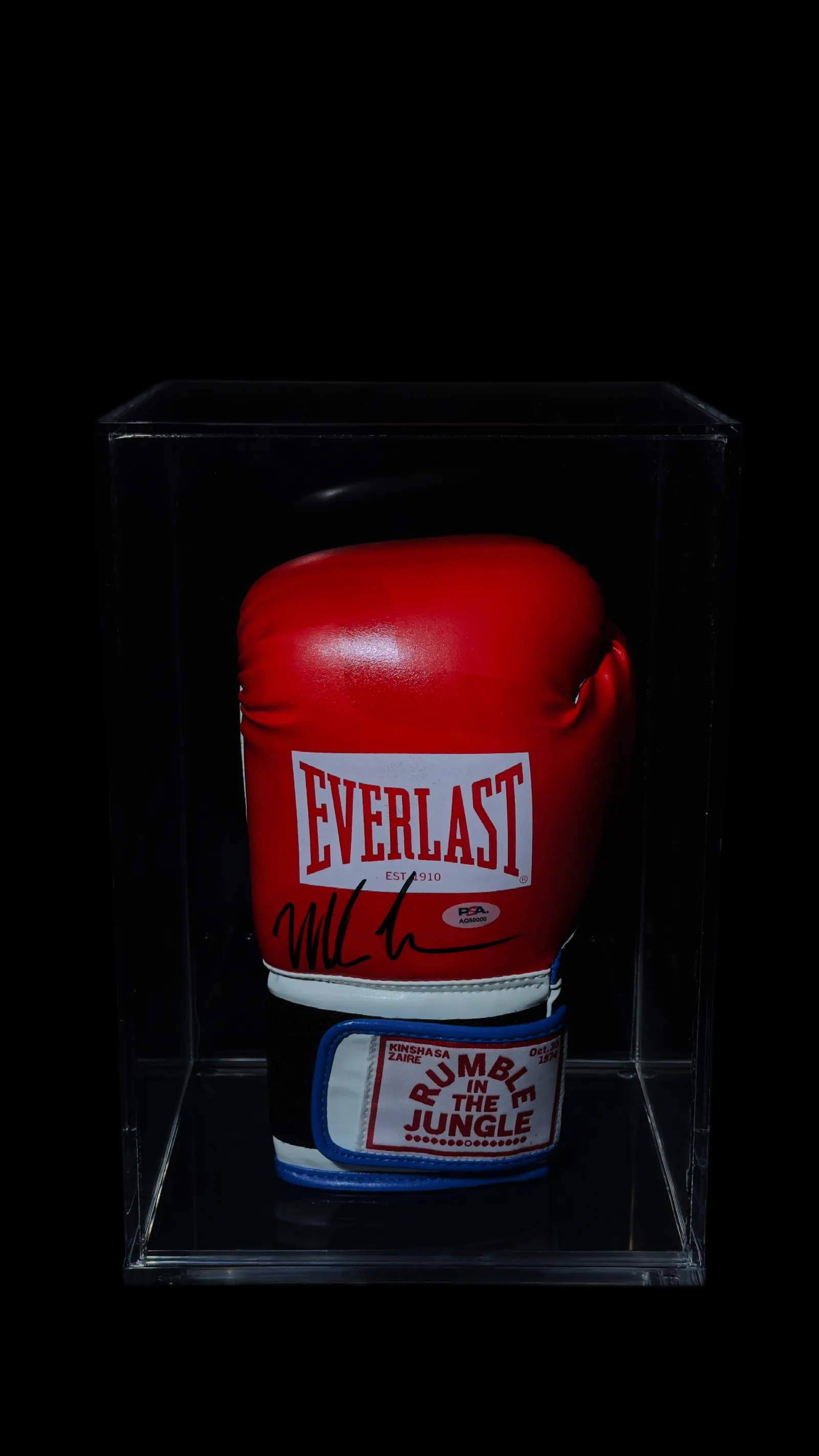 Mike Tyson autógrafo – luva Everlast, Mike Tyson