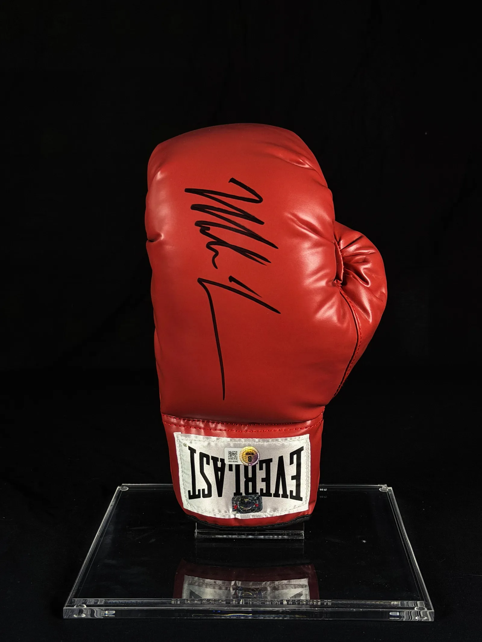 Mike Tyson autógrafo – luva de boxe Everlast, Mike Tyson