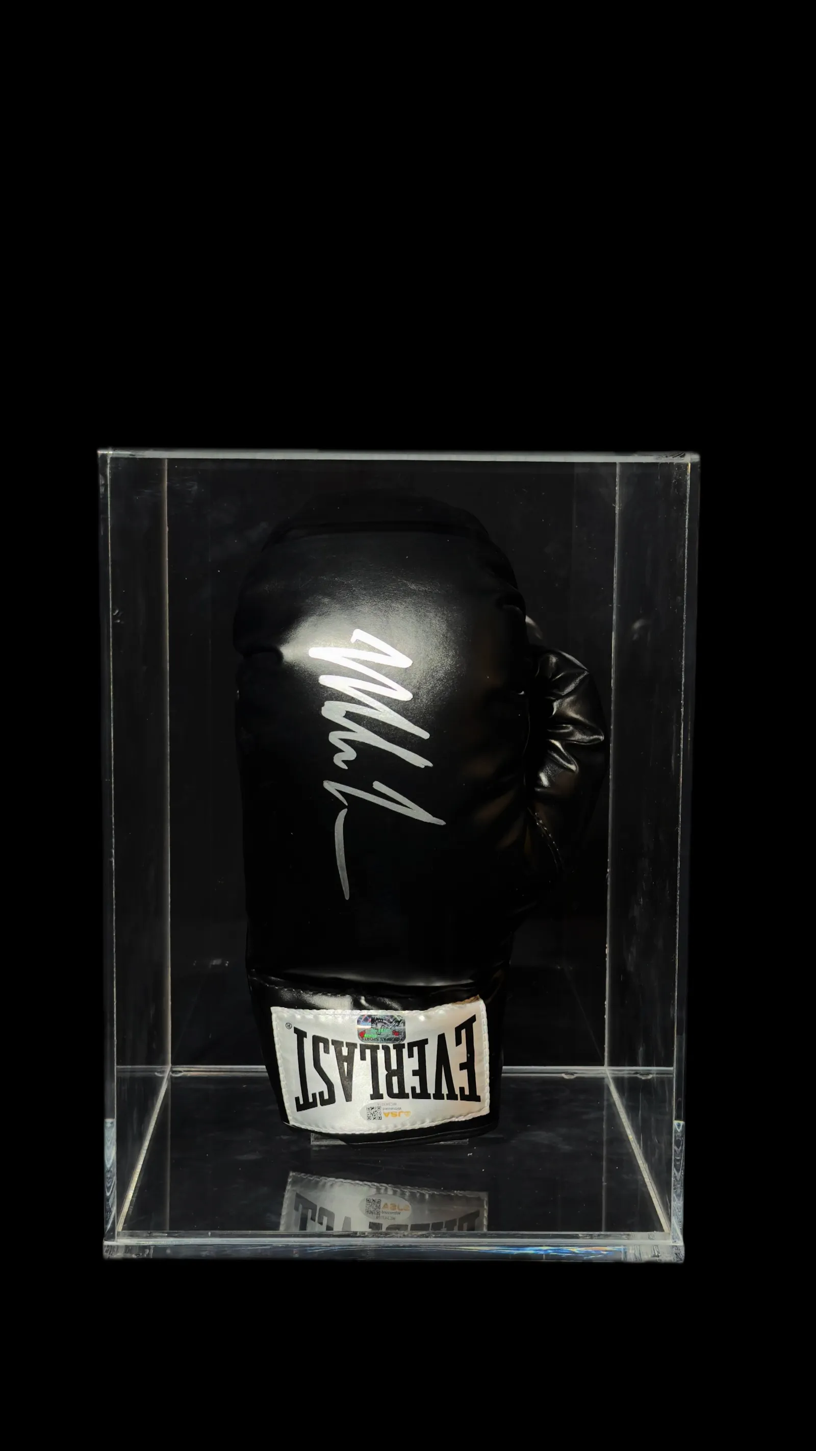 Mike Tyson autógrafo – luva de boxe Everlast, Mike Tyson