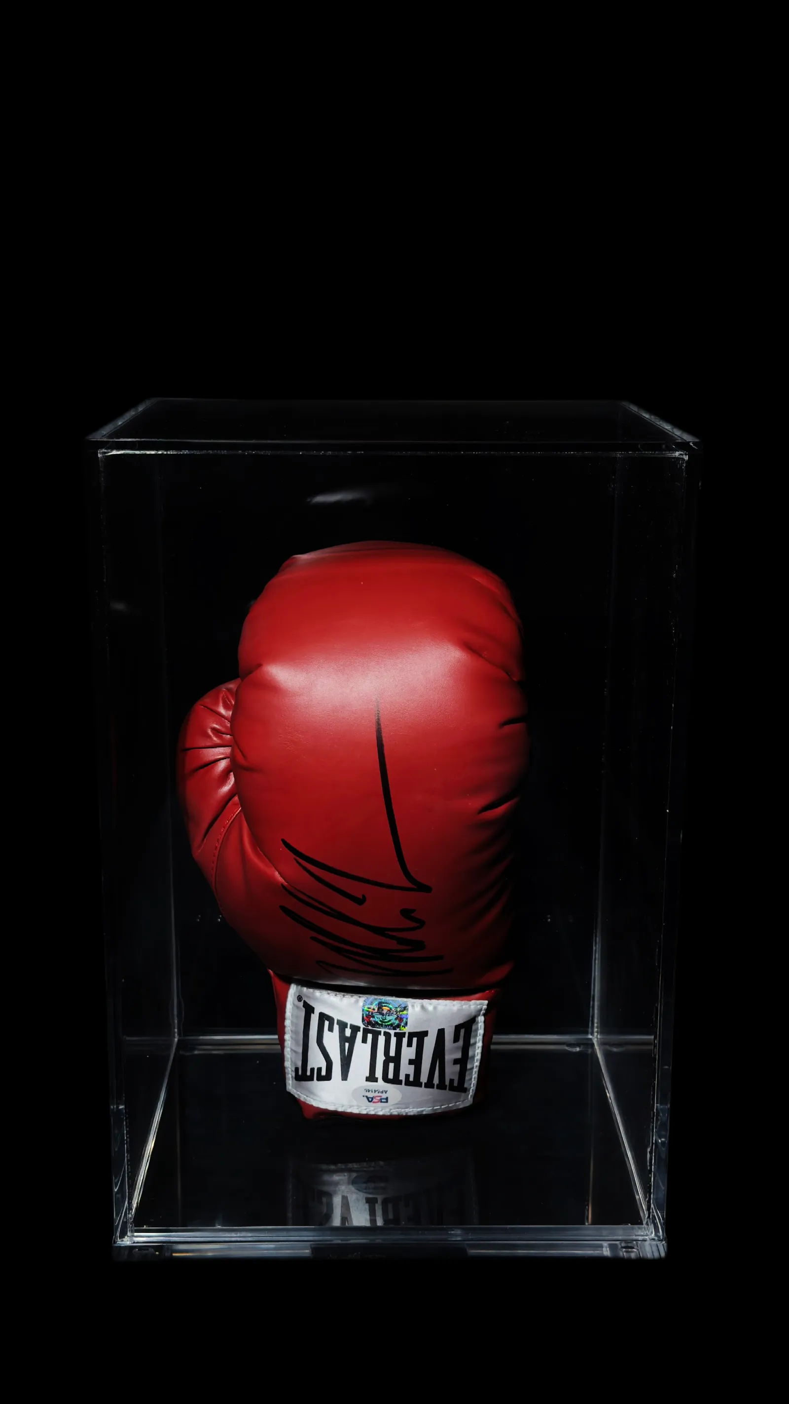 Mike Tyson autógrafo – luva Everlast, Mike Tyson