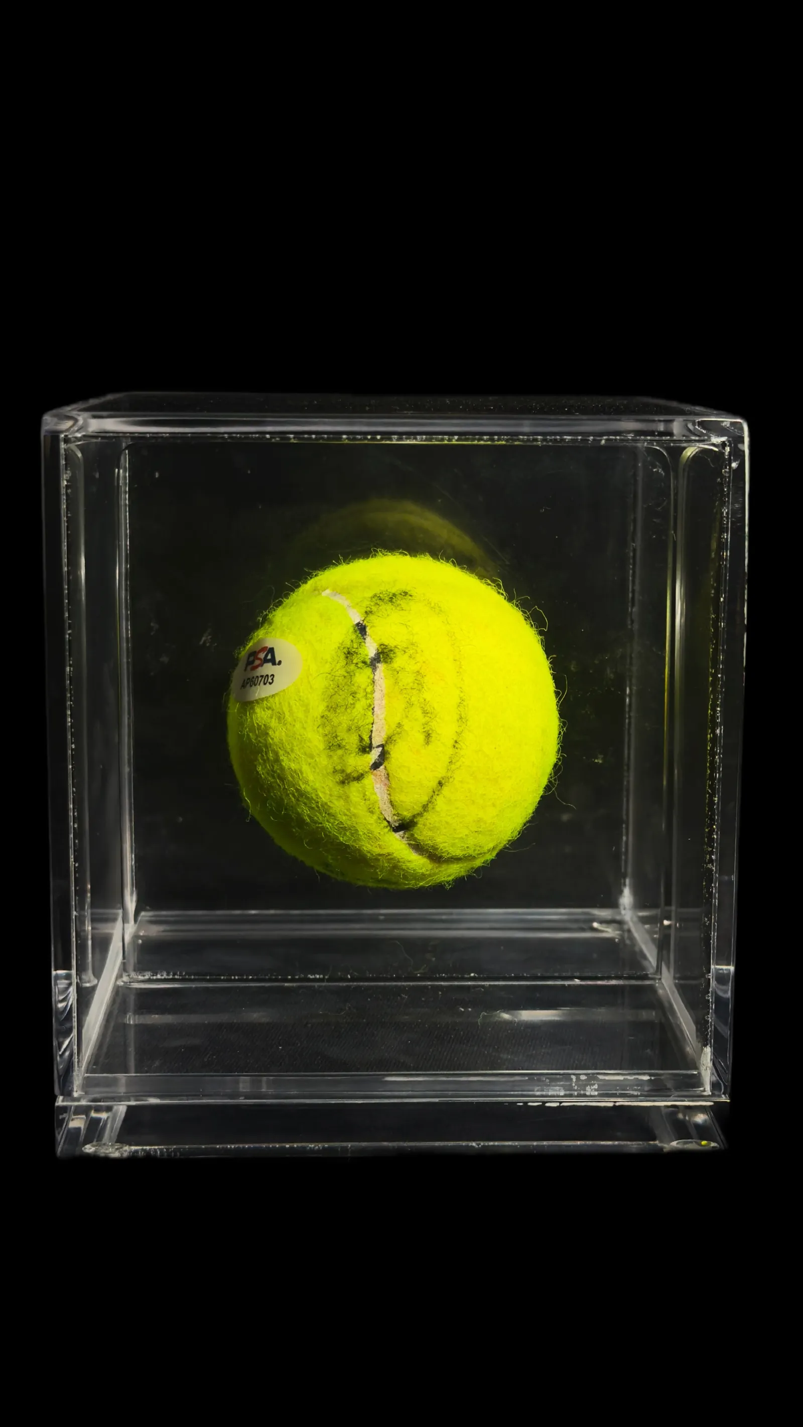 Novak Djokovic autógrafo – bola de tênis, Novak Djokovic