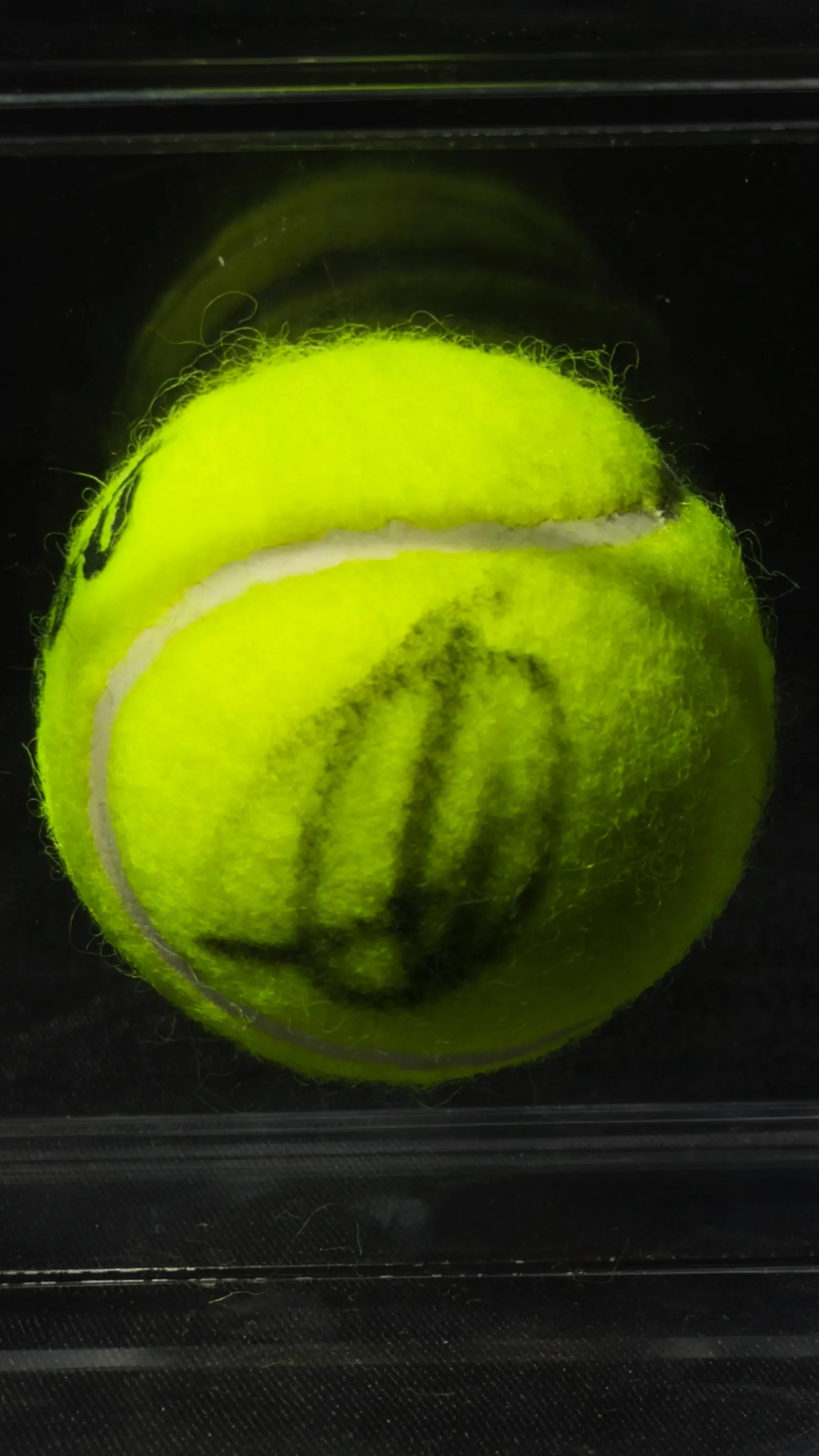 Novak Djokovic autógrafo – bola de tênis, Novak Djokovic