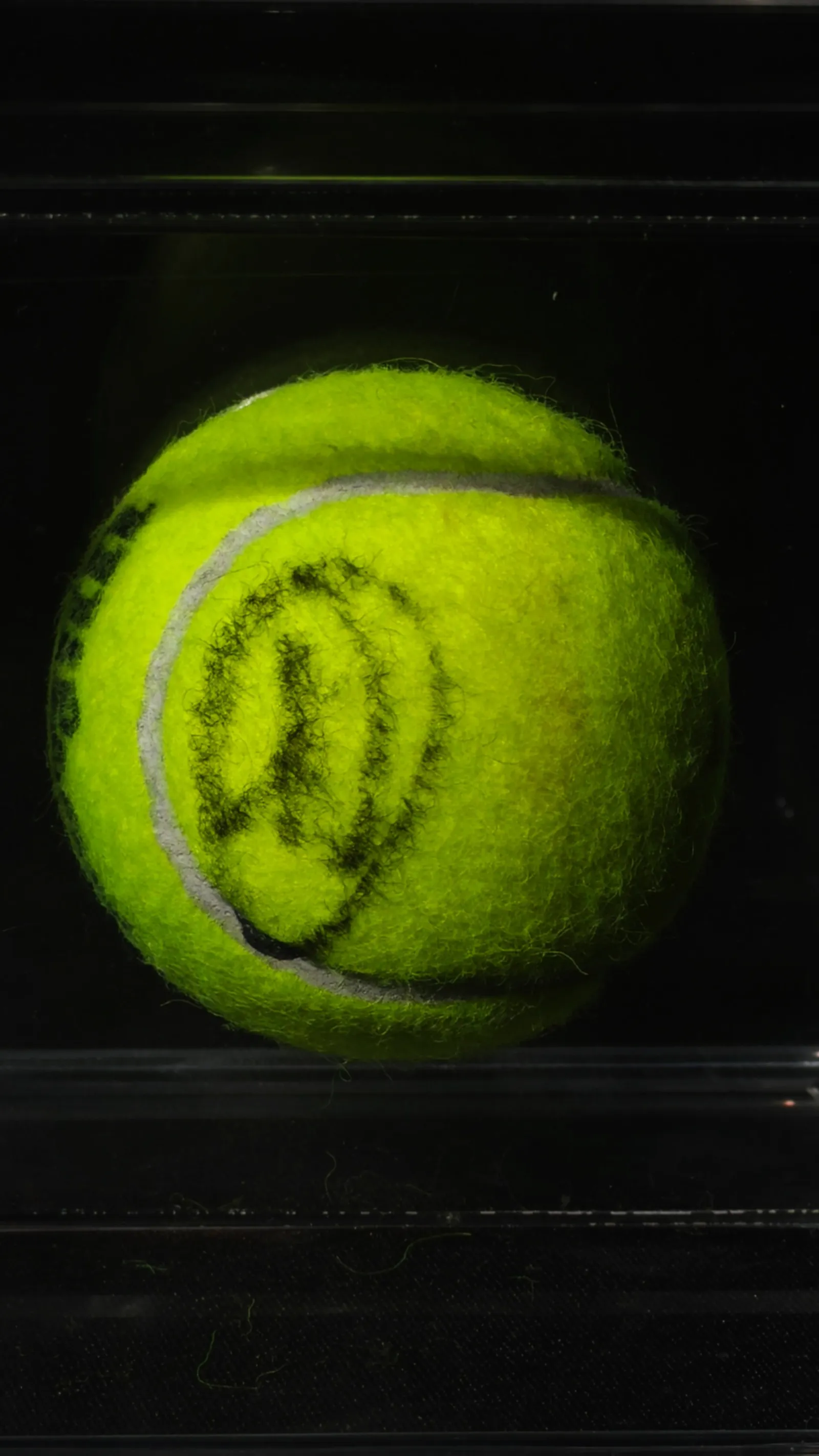 Novak Djokovic autógrafo – bola de tênis usada em jogo, Novak Djokovic