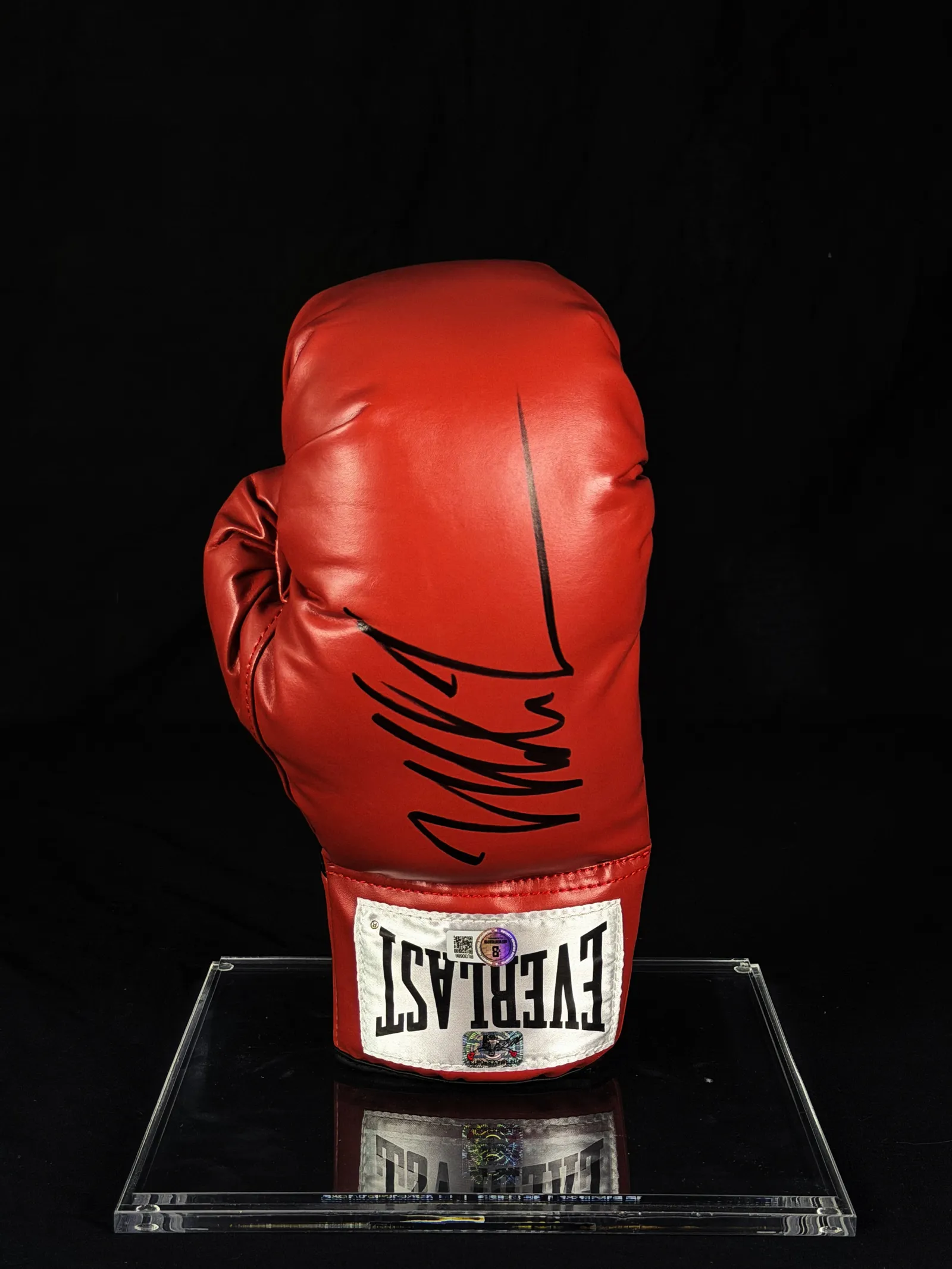 Mike Tyson autógrafo – luva de boxe Everlast, Mike Tyson