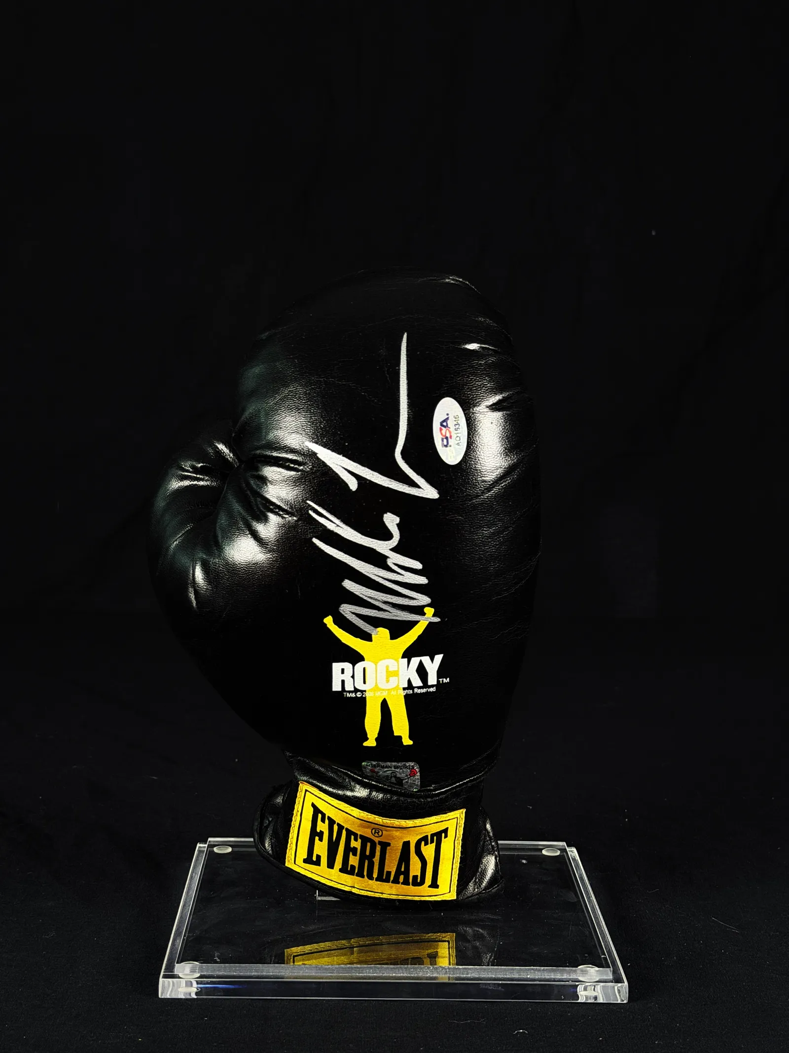 Mike Tyson – luva de boxe autografada, Mike Tyson