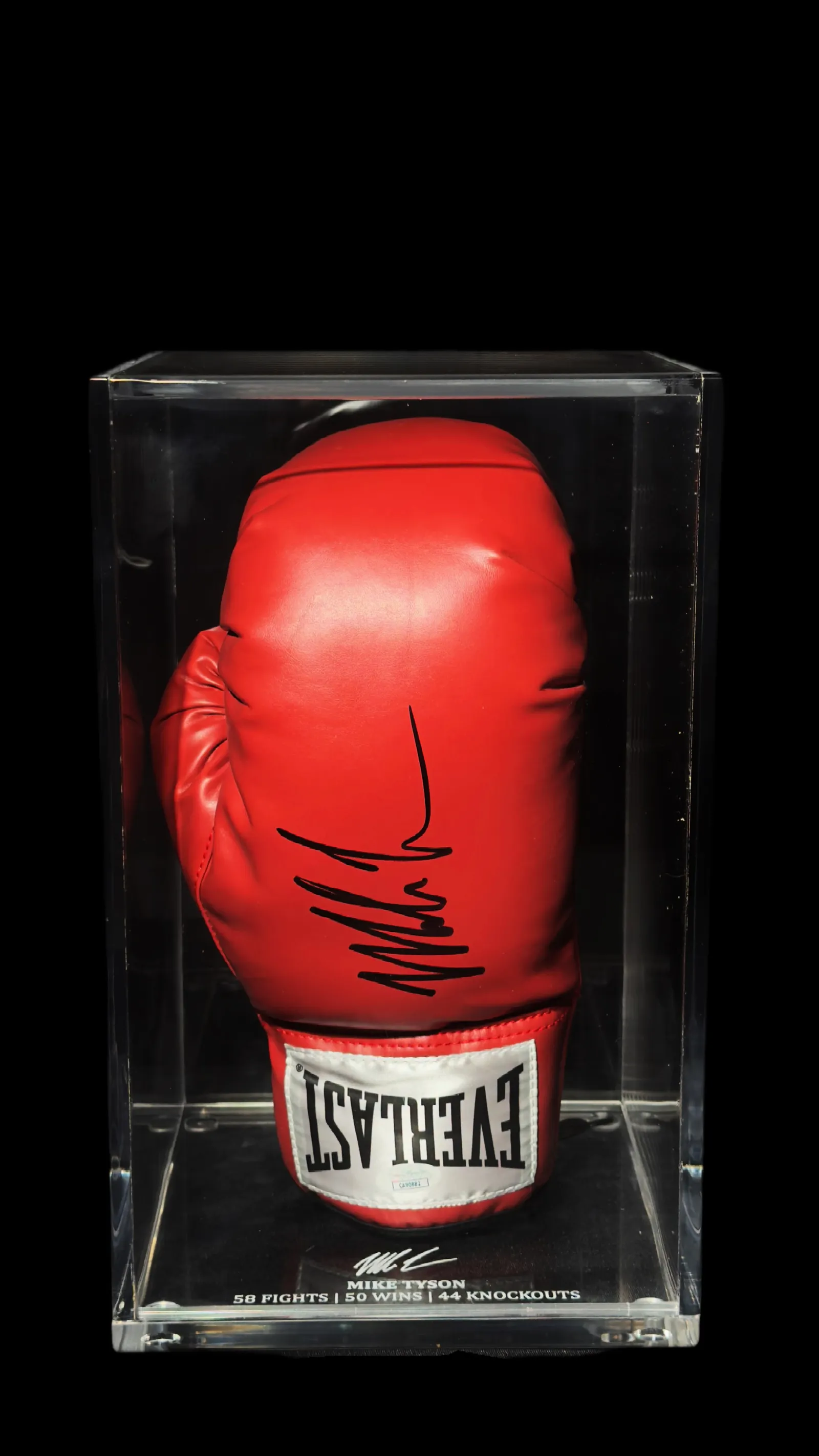 Mike Tyson autógrafo – luva Everlast, Mike Tyson