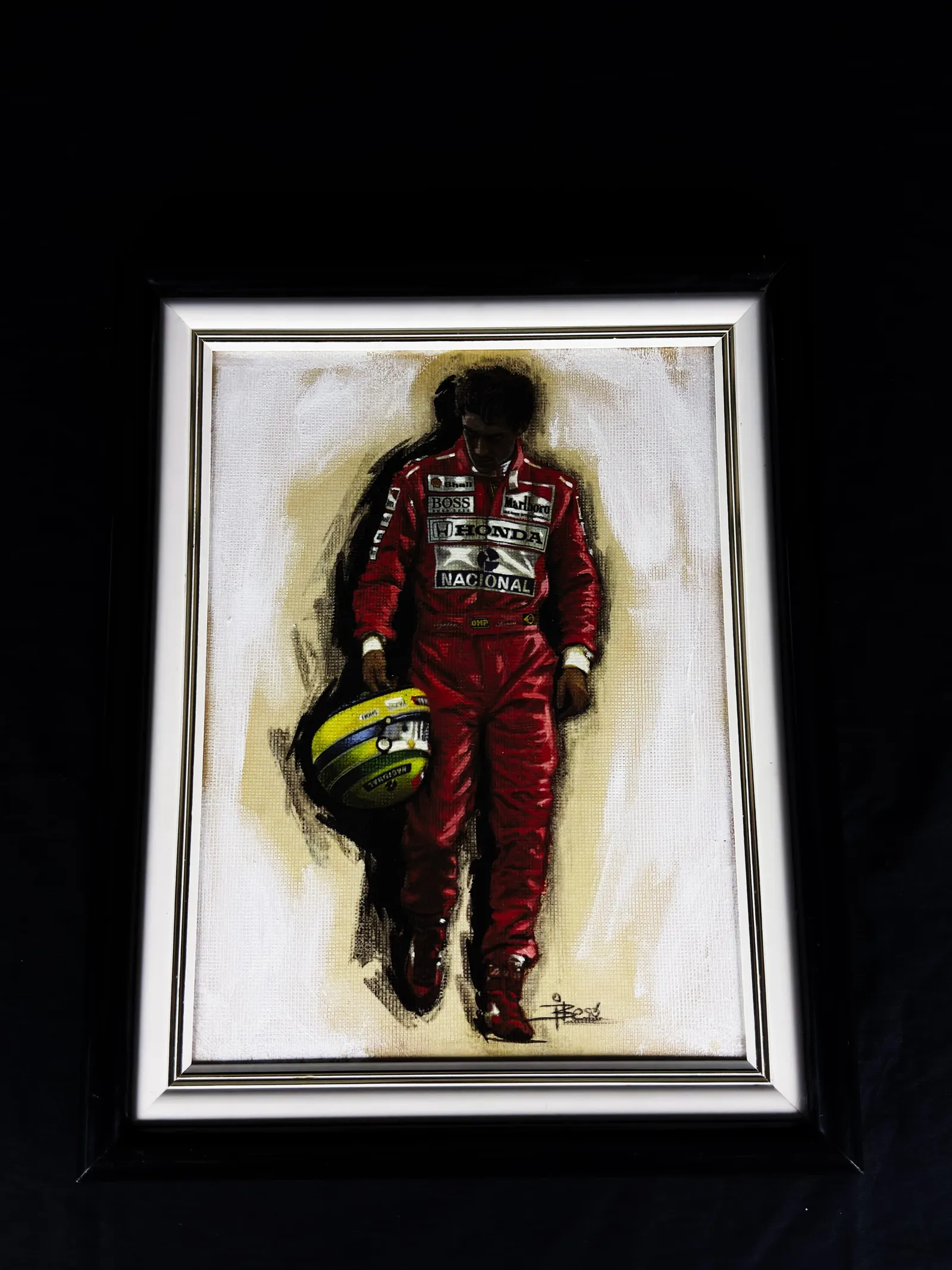 Ayrton Senna – a essência de um ídolo, obra artística, Ayrton Senna