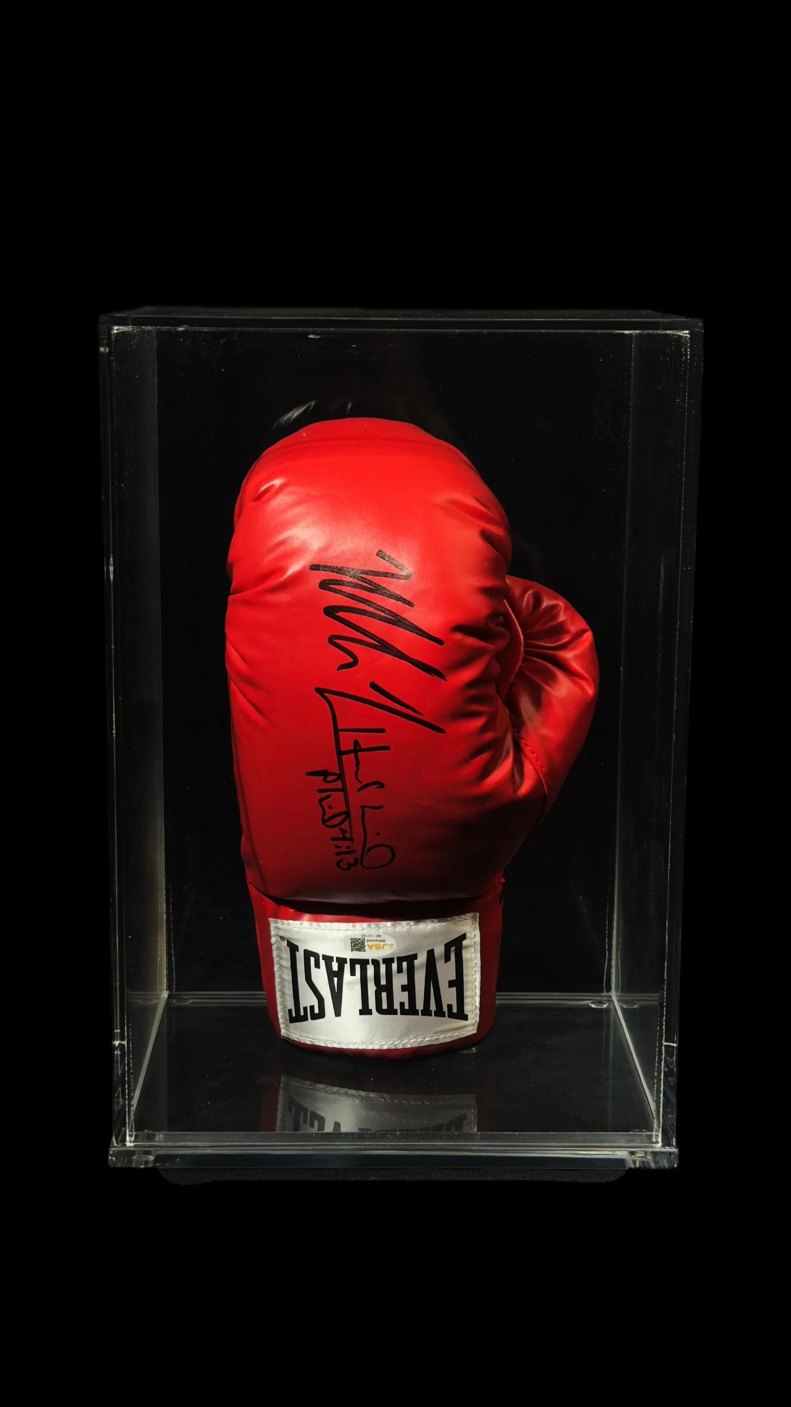 Mike Tyson e Evander Holyfield autógrafos – luva de boxe Everlast, Mike Tyson e Evander Holyfield