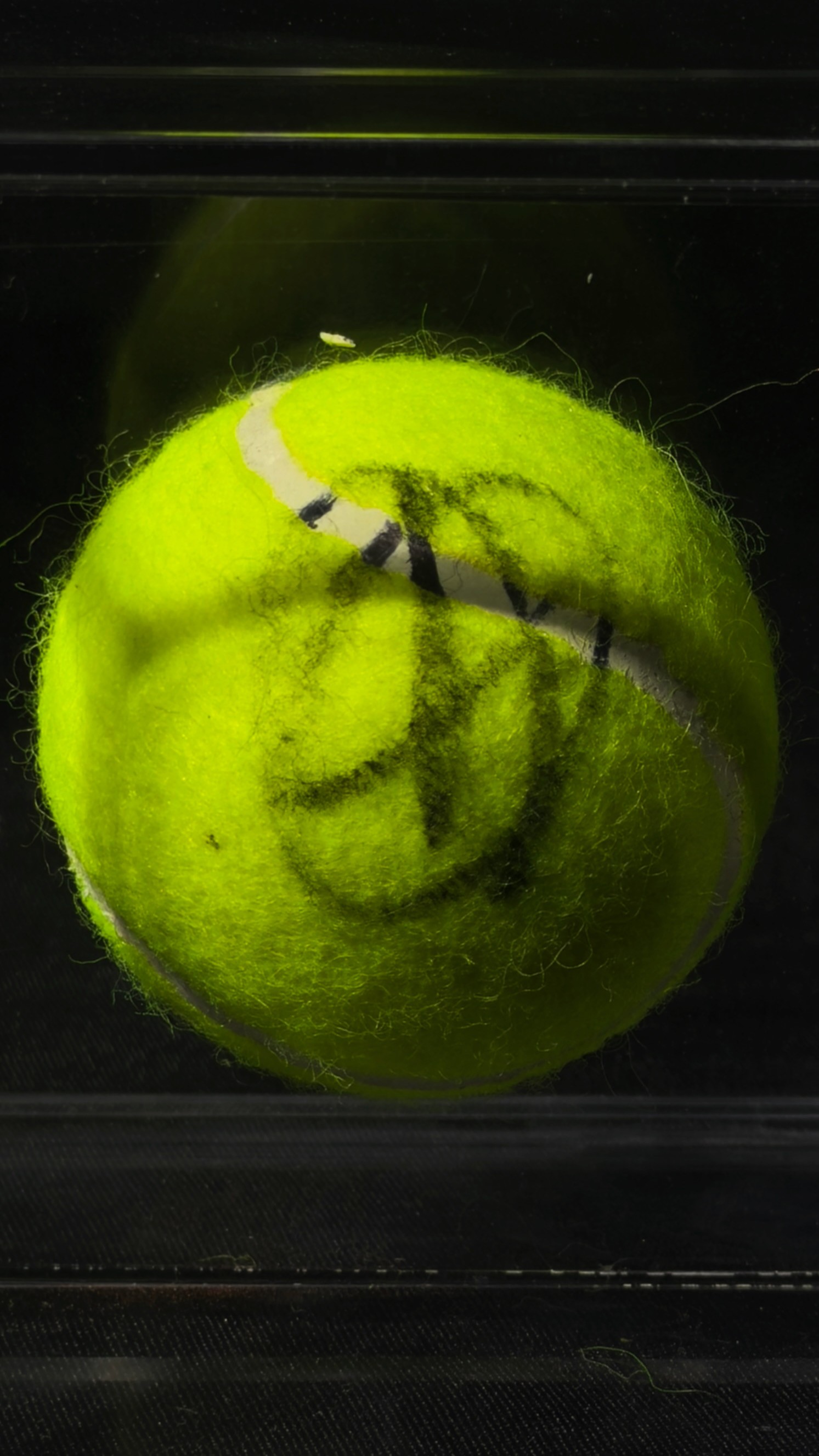 Novak Djokovic autógrafo – bola de tênis, Novak Djokovic